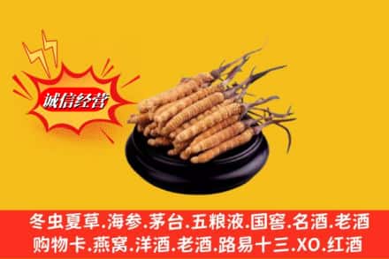 邢台市任泽求购回收虫草多少钱每克